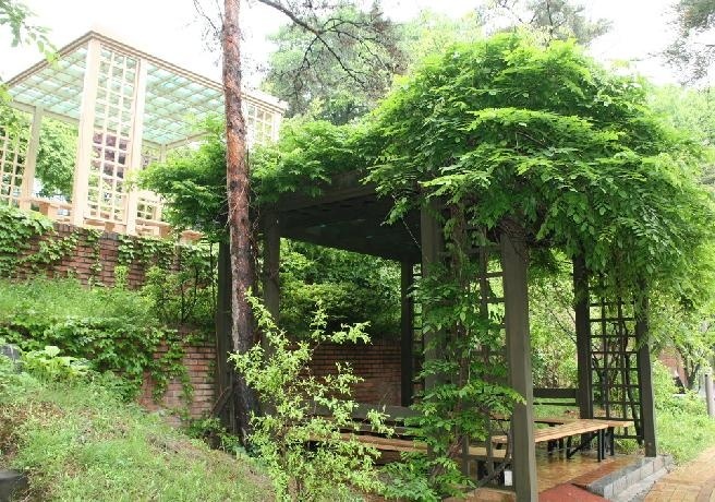 首尔长神大学