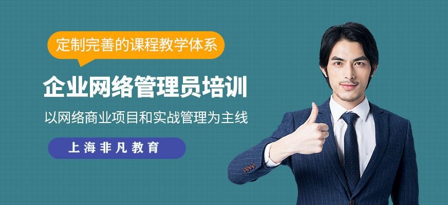 企业网络管理员