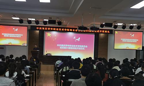 重庆青年职业技术学院网站