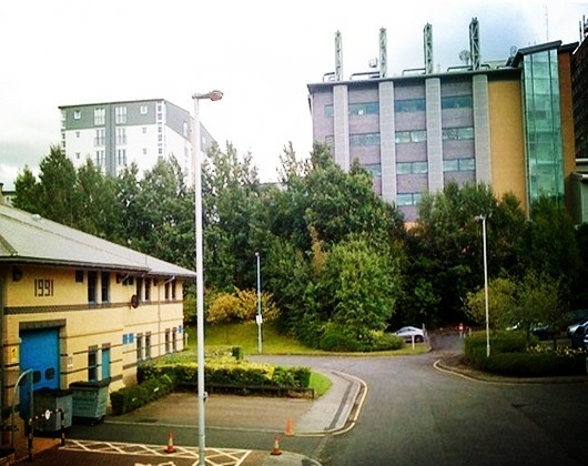 布拉德福德大学