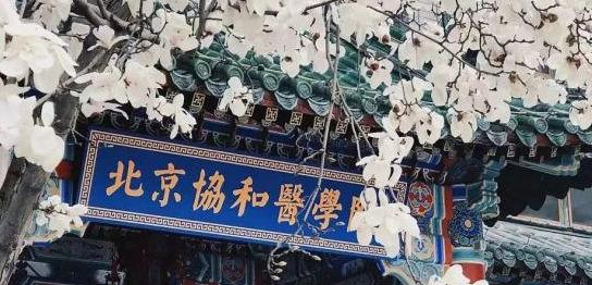 北京协和医学院全国排名一览表