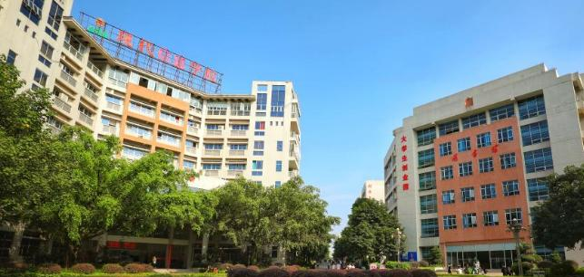 广州现代信息工程职业技术学院网站