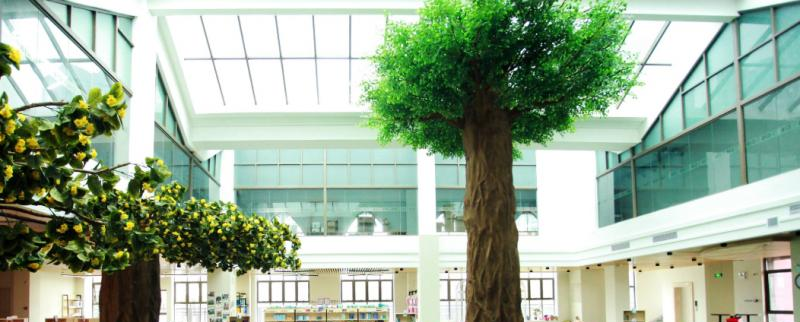 广州加拿大国际学校(CIS)初中部2020年报名条件、招生要求、招生对象