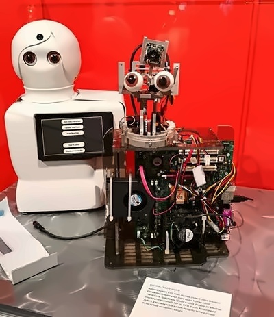 麻省理工的铭远国际高中学子:Research for better world