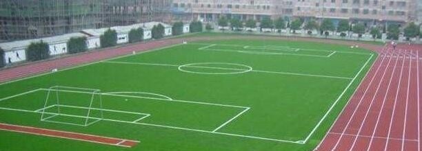 沧州体育运动学校