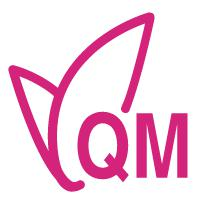 移动互联网微整合营销—O2O模式