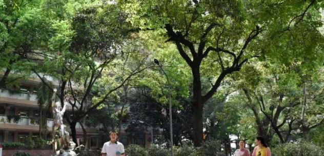 广州第十七中学2021年学费、收费多少