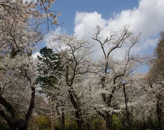静冈福祉大学