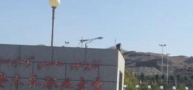 新疆职业大学是大专还是中专（新疆职业大学）