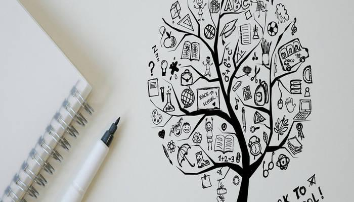 上海新纪元双语学校入学难度
