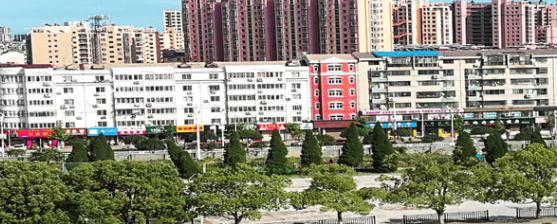 桐城师范高等专科学校网站