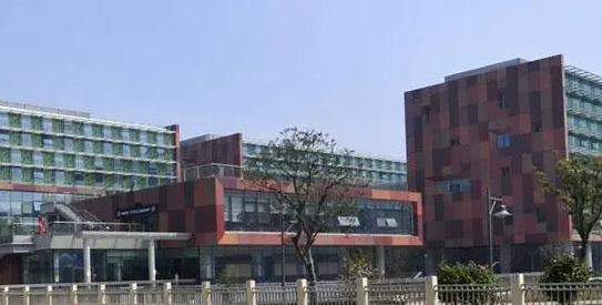 西交利物浦大学附属学校小学部怎么样2