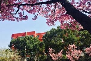 闵行汇点高中闵行校区