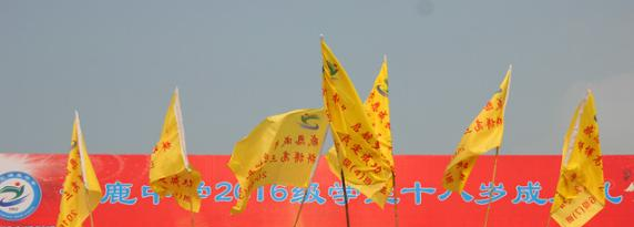 涿鹿县涿鹿中学2021年招生代码