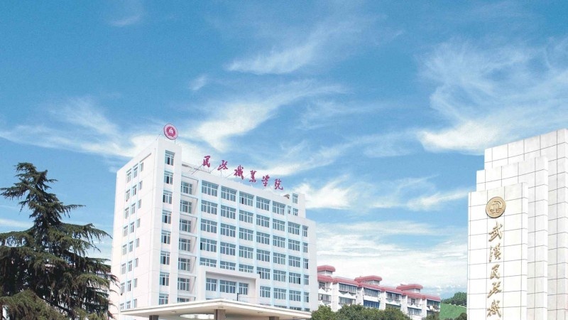 武汉民政职业学院单招简章