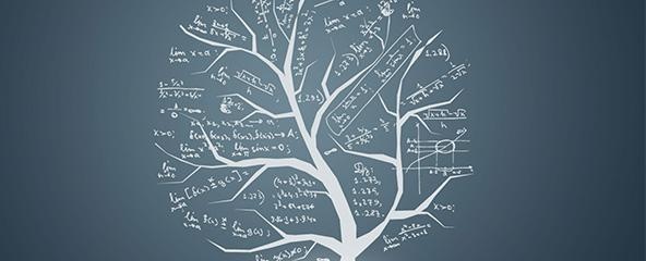 数学框架填基教学法
