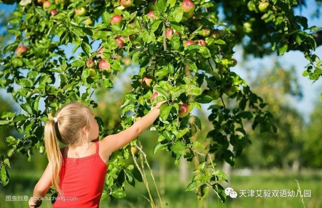 天津艾毅幼儿园秋游活动基本简介