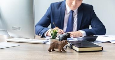 注册会计师直播班