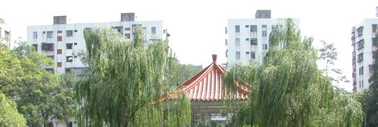 廣雅中學(xué)博雅國(guó)際班2020年招生計(jì)劃