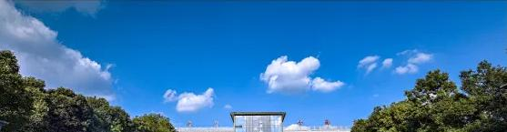 成都外国语学校中美国际高中2022年录取分数线