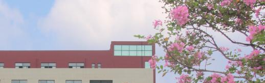 合肥共达职业技术学院2020年招生代码