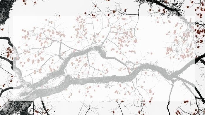 东莞特色小吃培训学校哪家好