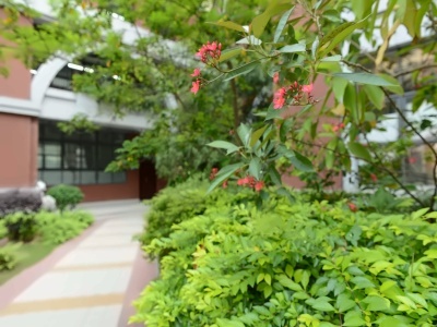 广东华侨中学国际课程校园环境