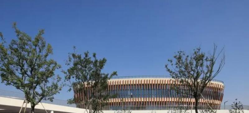 2023年上海帕丁顿双语学校小学部入学考试
