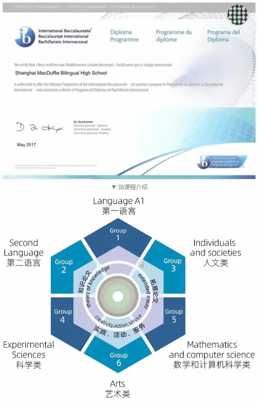 上海美达菲学校IBDP课程.jpg
