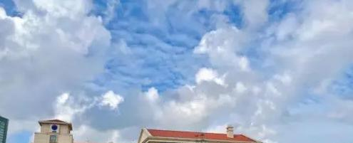 上海长宁国际学校2023年录取分数线