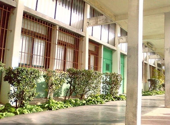 蒙波利埃第二大学