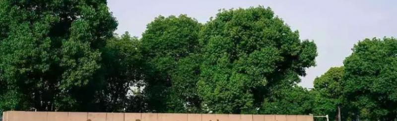 2022南京医科大学分数线最低是多少（省内+省外）-2023年参考