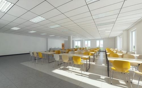 中育贝拉国际高中