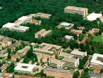 卡爾斯魯厄工程與經濟學院