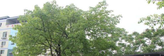 重庆经济建设职业技术学校