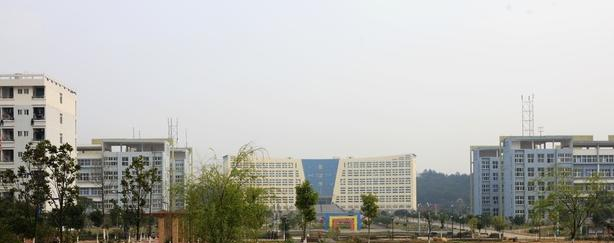 江西应用技术职业学院2019年单招录取分数线