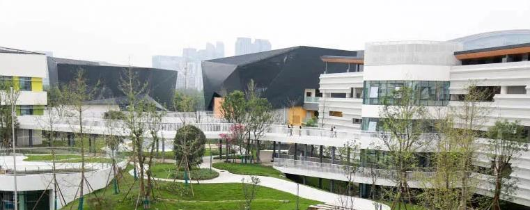 成都蒙彼利埃小学怎么样