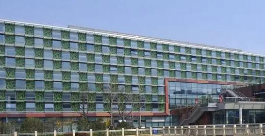 西交利物浦大学附属学校小学部怎么样
