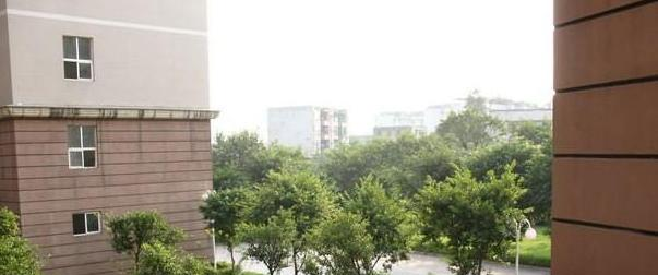 截图_20211116125650