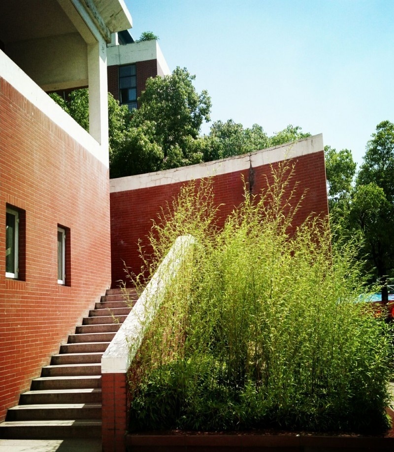 安徽中澳科技职业学院单招报名时间