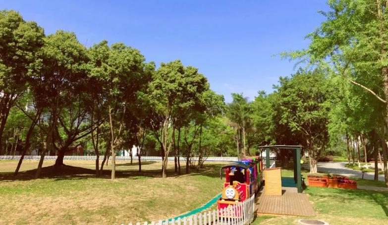 成龙泉驿区青苗学校