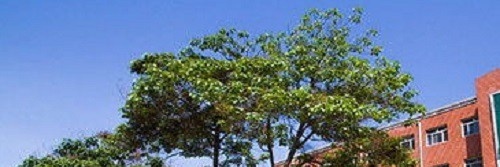 石家庄新华中等专业学校2022年怎么样、好不好