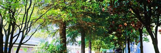 昆明市旅游职业中学