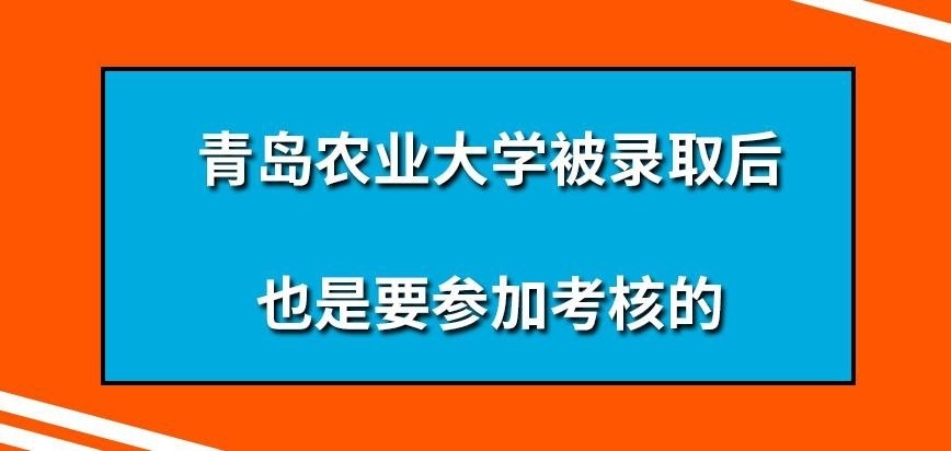 青岛农业大学在职研究生被录取后也要参加考核吗