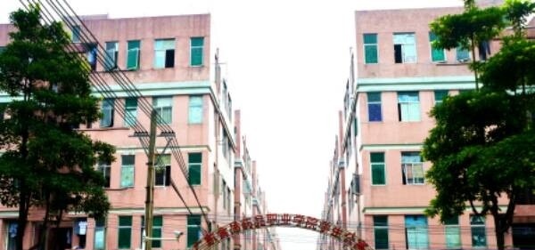 广东食品药品职业学院单招报名时间