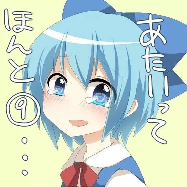 关于道歉
