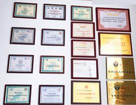 武汉东方巨龙教育