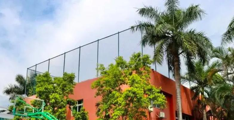 深圳博纳学校初中部2023年课程体系