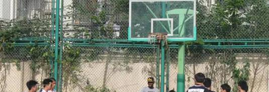 美中美育美国高中2020年招生简章