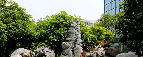 淮南职业技术学院单招简章